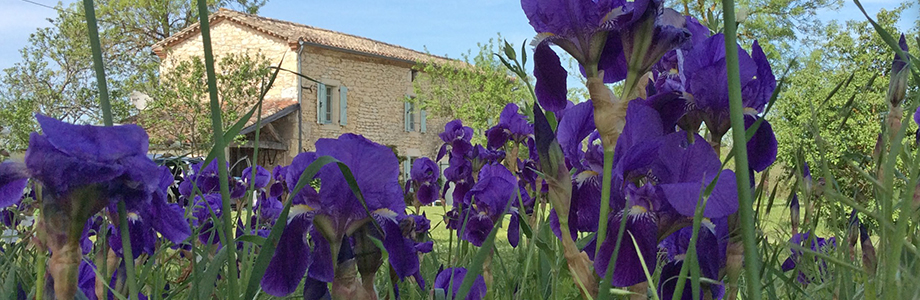 Stone farmhouse accommodation in France